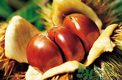 空腹能吃生板栗嗎？生吃板栗有什么好處？