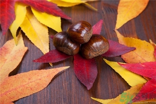 板栗和牛奶可以一起吃嗎？板栗和酸奶能一起吃嗎？