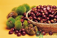 秋天吃板栗好嗎？秋天吃板栗有什么好處？