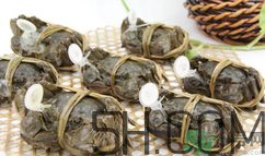 毛蟹和大閘蟹哪個(gè)貴?毛蟹和大閘蟹的區(qū)別 毛蟹和大閘蟹哪個(gè)貴?毛蟹和大閘蟹的區(qū)別