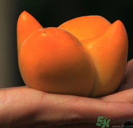 空腹吃柿子好嗎？空腹吃柿子會(huì)怎么樣？