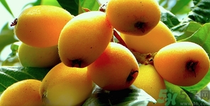 小孩能吃枇杷嗎?小孩吃枇杷好不好 小孩能吃枇杷嗎?小孩吃枇杷好不好