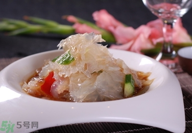 海蜇是葷菜還是素菜？海蜇是動物還是植物？