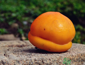 柿子可以和香蕉一起吃嗎？香蕉和柿子能一起吃嗎？