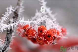 霜降出生的孩子好嗎？霜降出生的寶寶怎么取名？