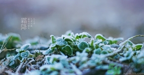 霜降出生的孩子好嗎？霜降出生的寶寶怎么取名？