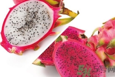 火龍果和梨能一起吃嗎？火龍果和梨能一起榨汁嗎？