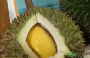 榴蓮吃多了會(huì)怎么樣？榴蓮吃多了好嗎？