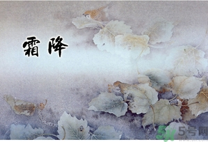 霜降為什么要吃柿子？霜降吃柿子有什么好處？