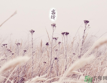 霜降為什么要吃柿子？霜降吃柿子有什么好處？