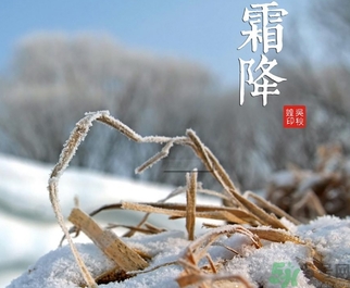 霜降為什么要吃柿子？霜降吃柿子有什么好處？