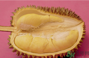 榴蓮一次吃多少合適？榴蓮一天最多吃多少？