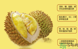 榴蓮不能和什么一起吃？吃榴蓮后不能吃什么？