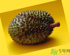 榴蓮可以冷凍保存嗎？榴蓮放冰箱是冷藏還是冷凍？