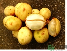 椰色果的功效作用 椰色果怎么吃？