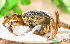 螃蟹和冬棗能一起吃嗎?吃完螃蟹能吃冬棗嗎? 螃蟹和冬棗能一起吃嗎?吃完螃蟹能吃冬棗嗎?