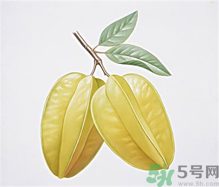 楊桃的營(yíng)養(yǎng)價(jià)值 楊桃的功效與作用