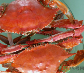 飛蟹蒸多長(zhǎng)時(shí)間？飛蟹怎么蒸？