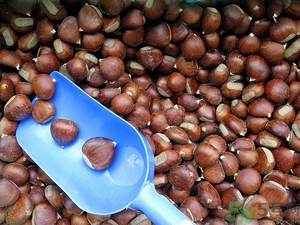 吃板栗肚子脹氣怎么辦？吃板栗對胃好嗎？