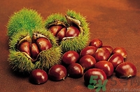 板栗和海鮮能一起吃嗎？板栗和海鮮能同食嗎？