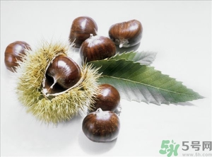 老人能喝板栗酒嗎？板栗怎么泡酒呢？