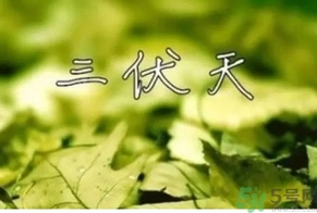 三伏天可以理發(fā)嗎？三伏天為什么不能理發(fā)？