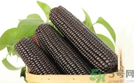 吃黑玉米有什么好處?黑玉米的功效與作用 吃黑玉米有什么好處?黑玉米的功效與作用