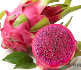 紅心火龍果是轉(zhuǎn)基因嗎？紅心火龍果是不是轉(zhuǎn)基因？