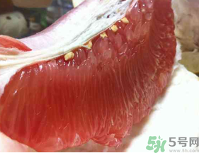 剝開的柚子能放冰箱嗎？柚子肉可以放冰箱嗎？