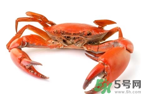懷孕可以吃螃蟹嗎？懷孕吃了螃蟹怎么辦？