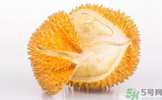 早上空腹吃榴蓮好嗎？早上空腹能吃榴蓮嗎？