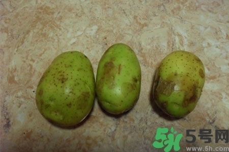 土豆發(fā)綠還能吃嗎？土豆發(fā)綠皮削皮后能吃嗎？
