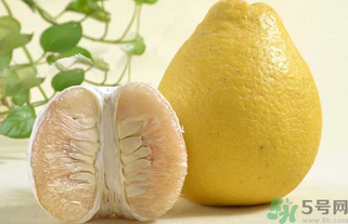 柚子為什么是苦的？柚子為什么會苦？