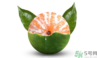 孕婦可以吃青桔子嗎？青桔子孕婦可以吃嗎？