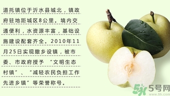 牛心果怎么吃？牛心果的功效和作用