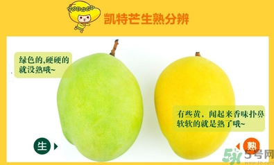 凱特芒果怎么算熟?凱特芒果硬的能吃嗎? 凱特芒果怎么算熟?凱特芒果硬的能吃嗎?