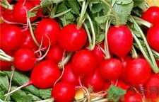 蘿卜纓的營養(yǎng)價(jià)值 蘿卜纓的功效與作用 蘿卜纓的營養(yǎng)價(jià)值 蘿卜纓的功效與作用