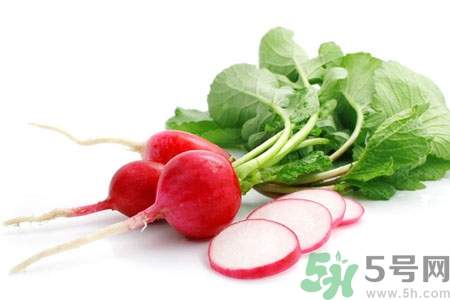 蘿卜纓的營養(yǎng)價(jià)值 蘿卜纓的功效與作用 蘿卜纓的營養(yǎng)價(jià)值 蘿卜纓的功效與作用