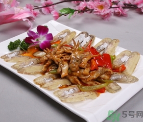 活蟶子怎么保存？蟶子可以放幾天？