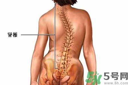 僵直性脊椎炎的癥狀有哪些？怎樣預(yù)防僵直性脊椎炎？