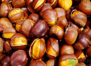 熟板栗可以放多久？熟板栗怎么保存不會壞？