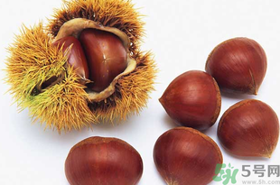 熟板栗可以放多久？熟板栗怎么保存不會壞？