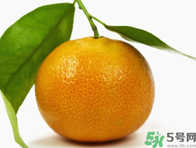 桔子怎么保鮮？桔子可以放冰箱保鮮嗎？