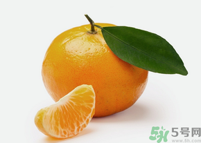 桔子怎么保存？青桔子怎么保存？