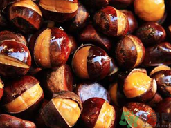 吃炒板栗會(huì)胖嗎？吃糖炒栗子會(huì)胖嗎？