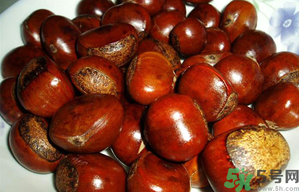 吃炒板栗有什么好處 炒板栗的功效與作用 吃炒板栗有什么好處 炒板栗的功效與作用