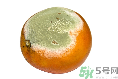 水果發(fā)霉了可以吃嗎？發(fā)霉的水果對(duì)人體有什么危害？