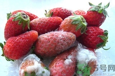 水果發(fā)霉了可以吃嗎？發(fā)霉的水果對(duì)人體有什么危害？