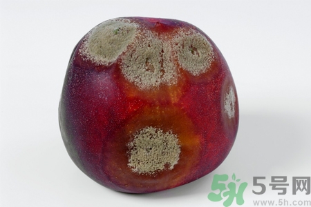 水果發(fā)霉了可以吃嗎？發(fā)霉的水果對(duì)人體有什么危害？