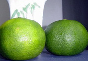 孕婦可以吃青桔子嗎？青桔子孕婦可以吃嗎？